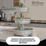 3 Tier Galvanized Round Metal Tray, 18"