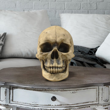 human skull, faux human skull, animal head wall mount, farmhouse decor, halloween, spooky skull