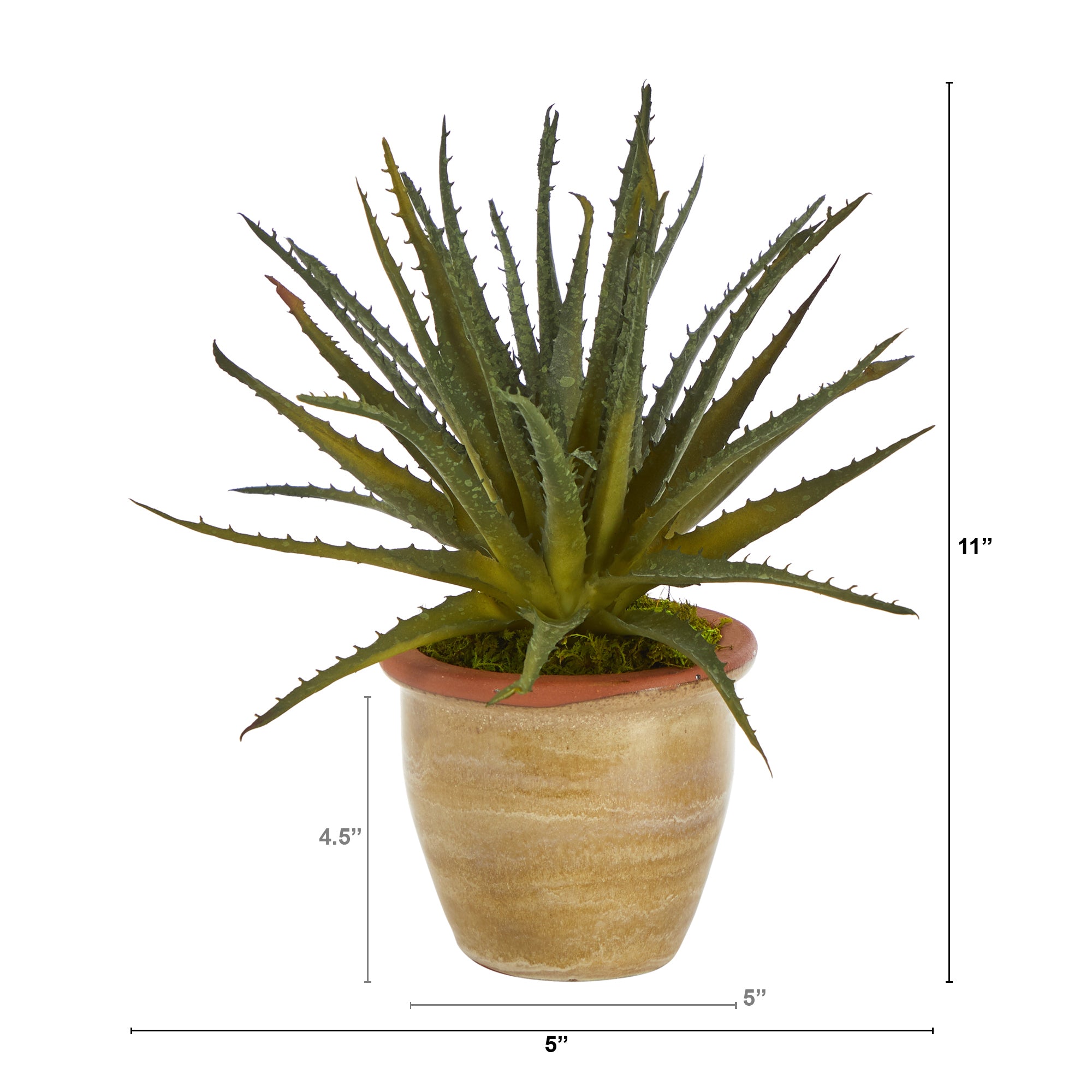 Aloe Artificial Plant in Ceramic Planter, 11”