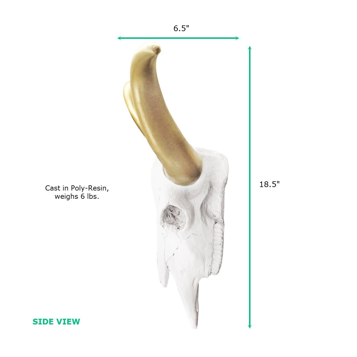 Faux longhorn skull, faux longhorn, fake longhorn skull, animal skull wall mount, farmhouse decor