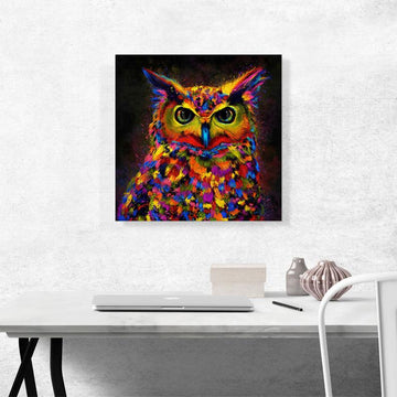 The Colorful Owl Canvas