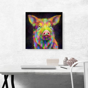 The Colorful Pig Animal Canvas