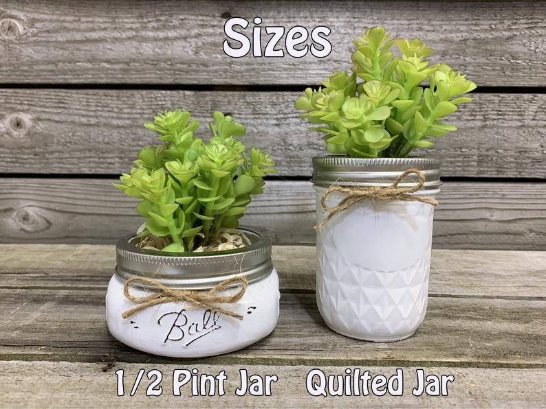 Succulent Plant in Pot Mason Jar Half Pint or Quilted Farmhouse Decor Distressed Ball Jar