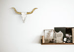 Animal Skull Wall Mounts
