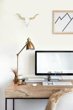 Texas Longhorn Decor for Living Room