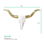 European skull mount