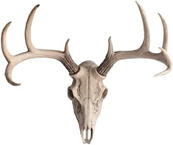 Mini Natural Deer Skull, 16"