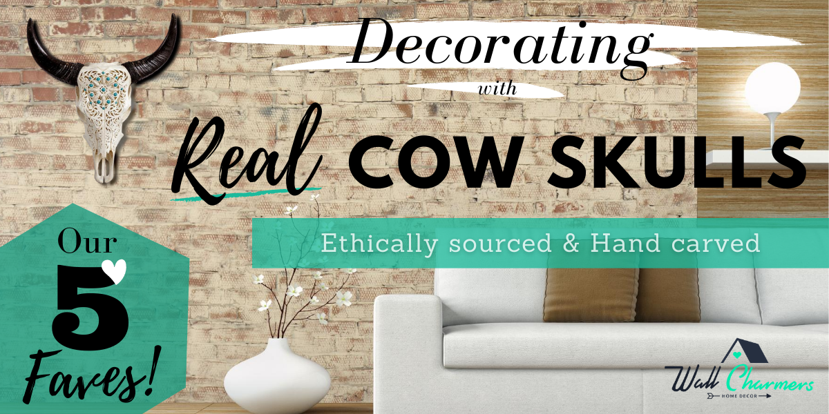 Decorating with Real Cow Skulls - Our 5 Faves!