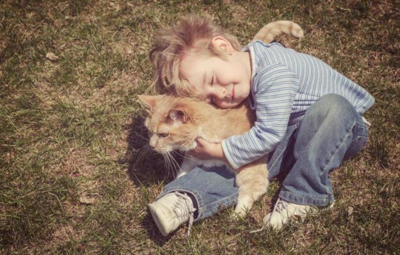 Hug your Cat Day