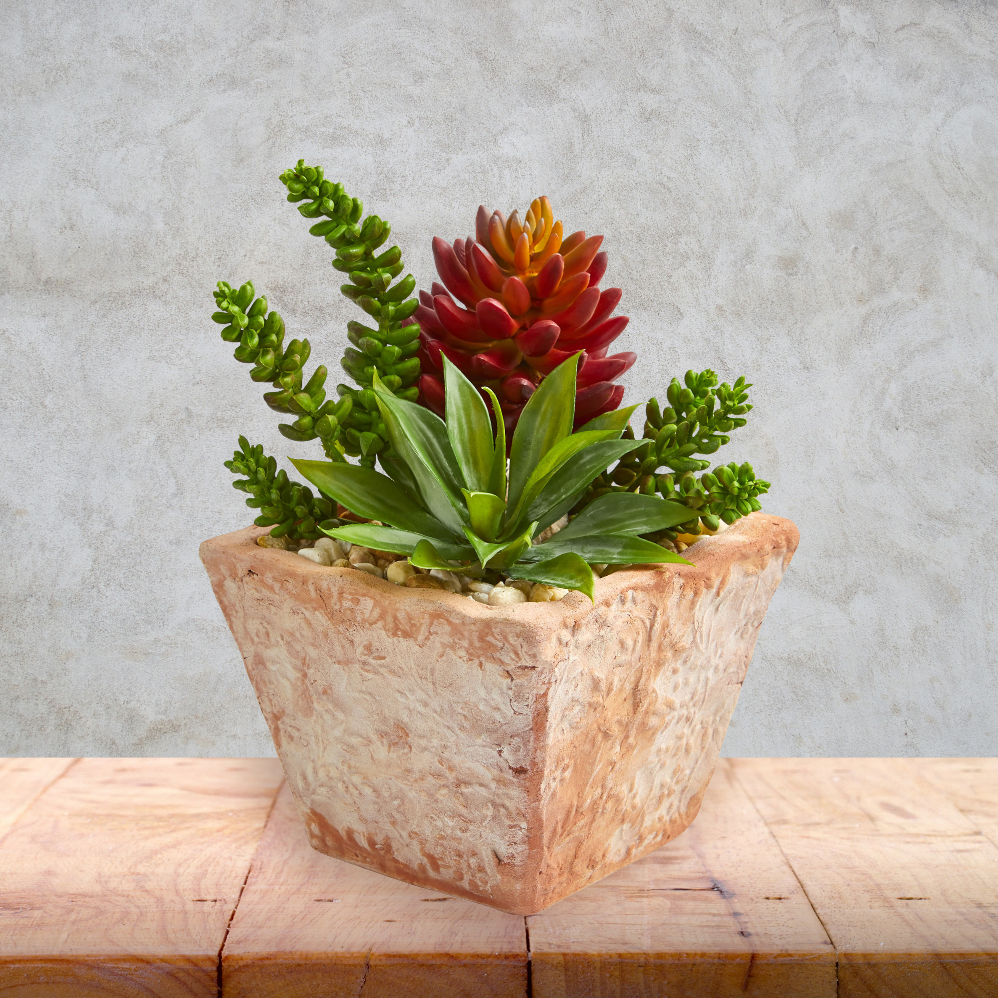 11” Mixed Succulents Artificial Plant in Small Terra Cotta Vase