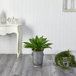 Agave Succulent Artificial Plant in Vintage Metal Planter, 26”
