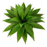 Agave Succulent Artificial Plant in White Planter with Metal Stand, 30”