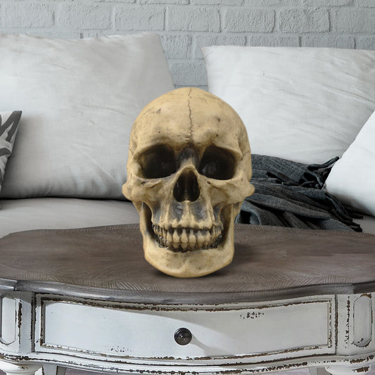 human skull, faux human skull, animal head wall mount, farmhouse decor, halloween, spooky skull
