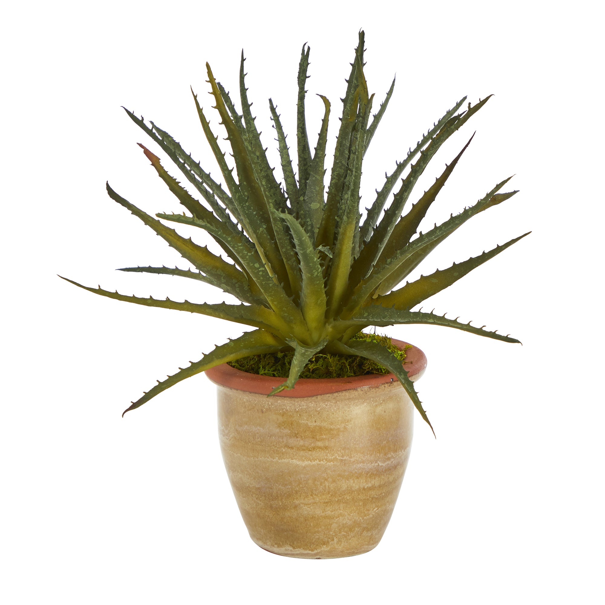 Aloe Artificial Plant in Ceramic Planter, 11”