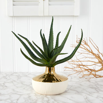 Aloe Succulent Artificial Plant in Gold and Cream Planter, 12”