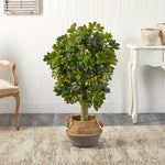 Schefflera Artificial Tree in Handmade Cotton & Jute Woven Planter, 4’ 