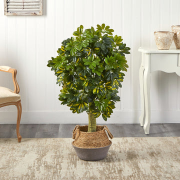 Schefflera Artificial Tree in Handmade Cotton & Jute Woven Planter, 4’ 