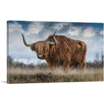 The Long Hair Bull Canvas