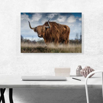The Long Hair Bull Canvas