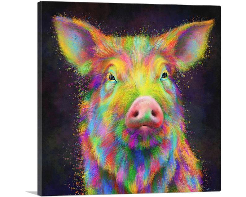 The Colorful Pig Animal Canvas