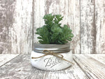 Succulent Plant in Pot Mason Jar Half Pint or Quilted Farmhouse Decor Distressed Ball Jar