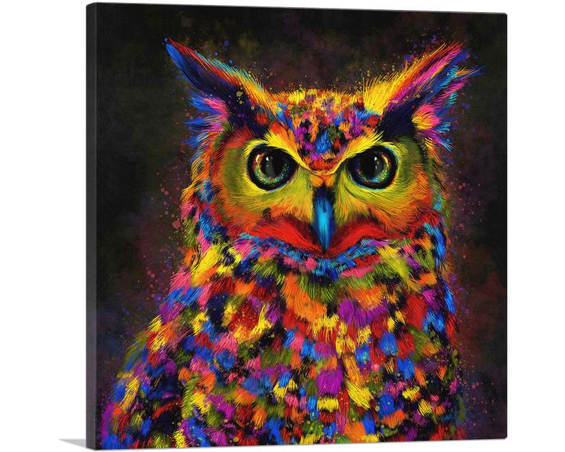 The Colorful Owl Canvas