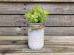 Succulent Plant in Pot Mason Jar Half Pint or Quilted Farmhouse Decor Distressed Ball Jar