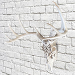 Carved Deer Skull, 21"