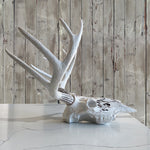 Carved Deer Skull, 21"