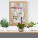 Phalaenopsis Orchid in Ceramic Pot, 19"